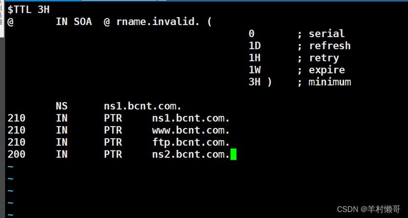 Linux服务器域名配置步骤有哪些?-图1 Linux服务器域名配置步骤有哪些?-图1