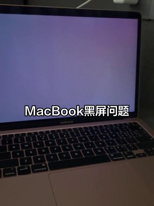 笔记本无法启动怎么办？-图2