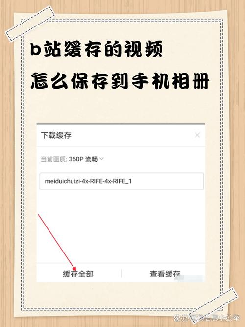 电脑B站视频怎么缓存？-图2