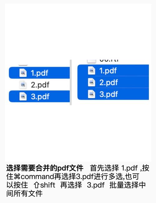 苹果电脑如何新建文件夹？-图3