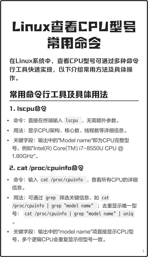 linux 服务器型号查看-图1