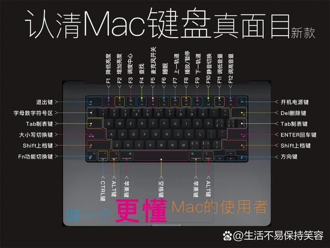 苹果电脑的alt键在哪里？-图1