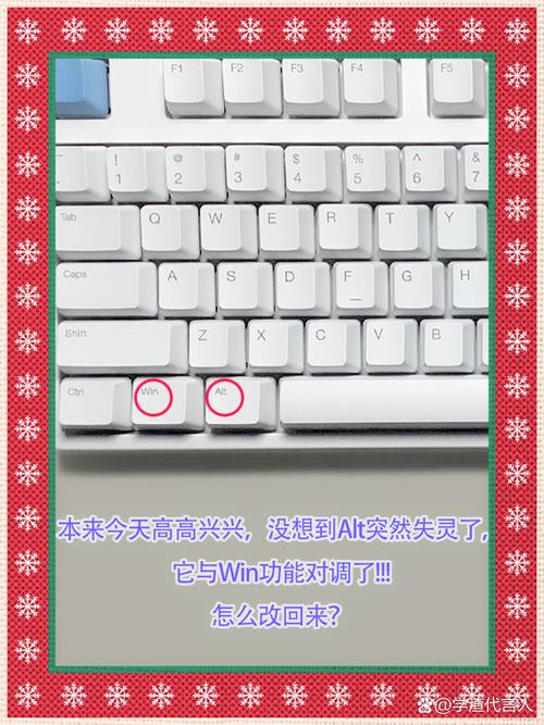 苹果电脑的alt键在哪里？-图2