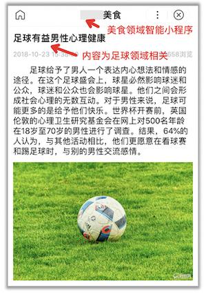 飓风算法受影响网站，如何恢复排名？-图2