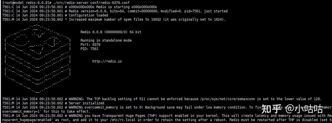 Linux如何搭建DNS服务器？-图3